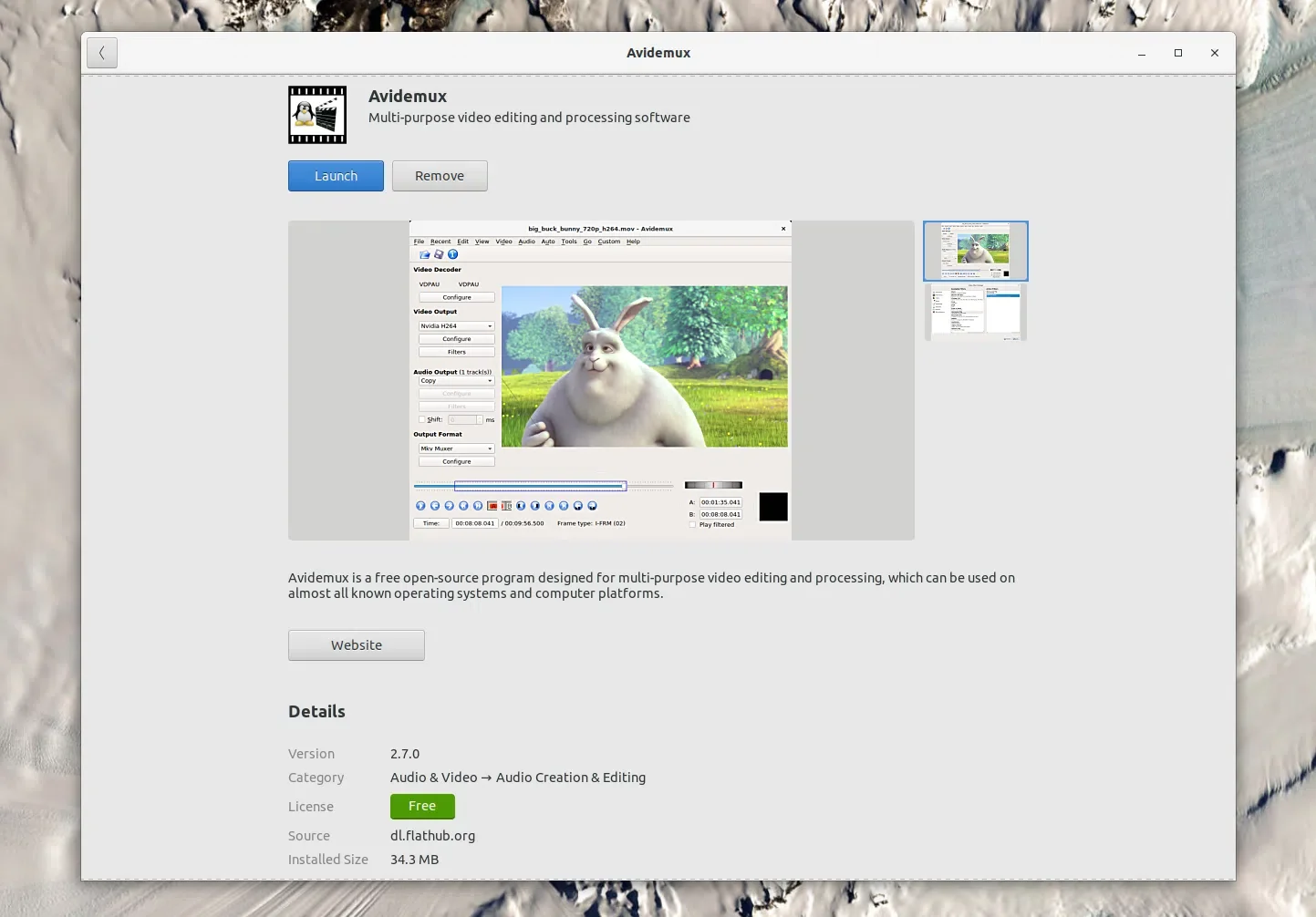 Avidemux Flathub Gnome Software Ubuntu
