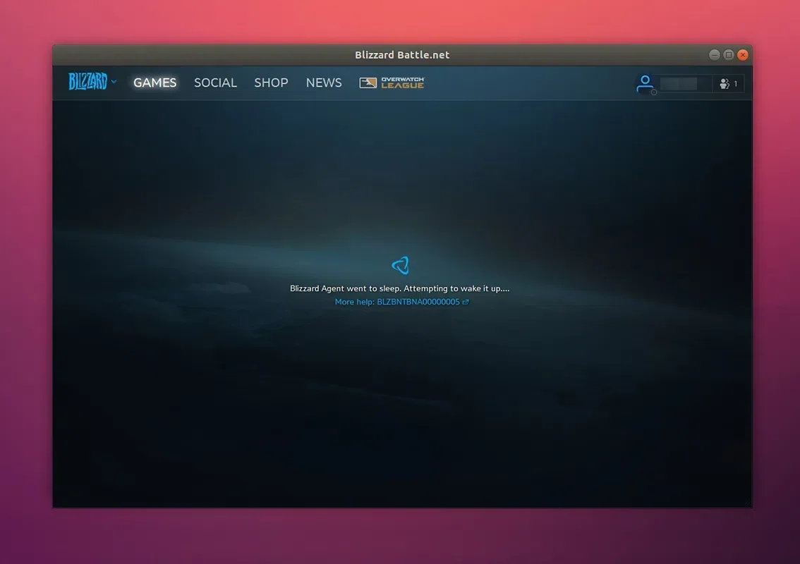 O agente da Blizzard foi dormir. Tentando reativá-lo Battle.net
