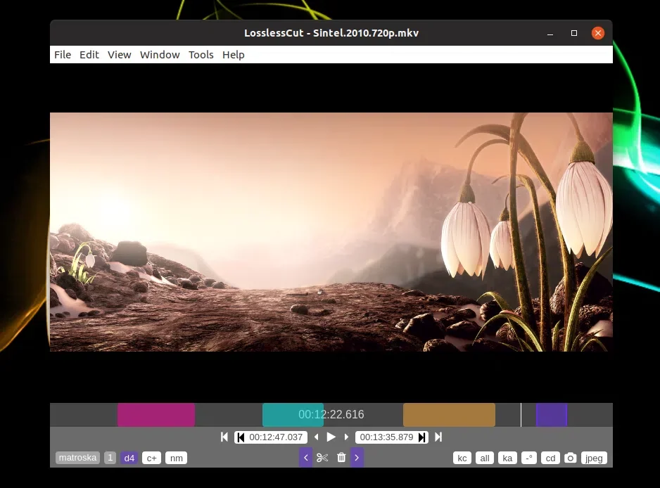 Software de corte de vídeo LosslessCut