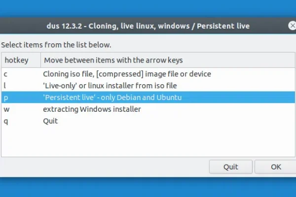 Crie um USB ativo de armazenamento persistente com Ubuntu, Linux Mint ou Debian (UEFI,> Suporte de persistência de 4 GB)