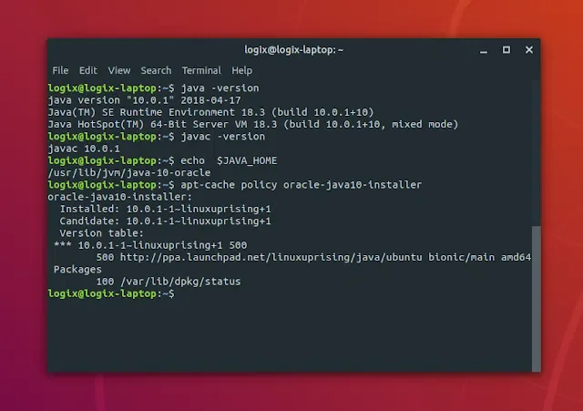 Terminal mostrando comandos para instalar o Oracle Java 10