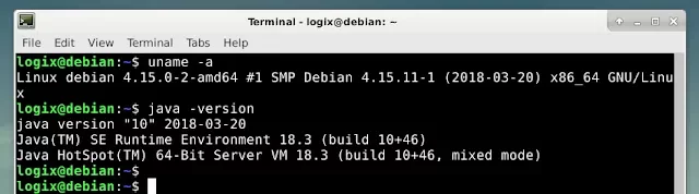 Comandos mostrando instalação do Java 10 no Debian