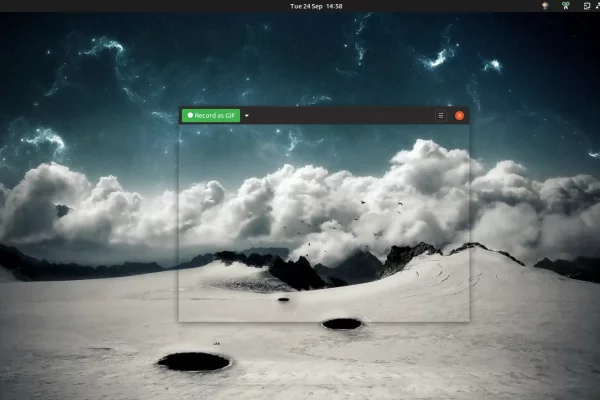 Gravador de tela em GIF Peek 1.4.0 para Linux lançado com atualizações e correções de interface do usuário