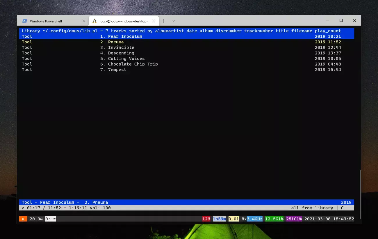 CMUS Windows Terminal WSL2