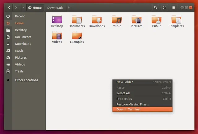 Tela mostrando o Nautilus no Ubuntu 18.04