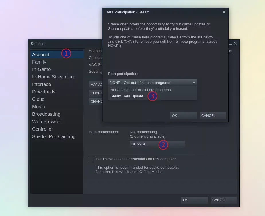 Steam Enable beta