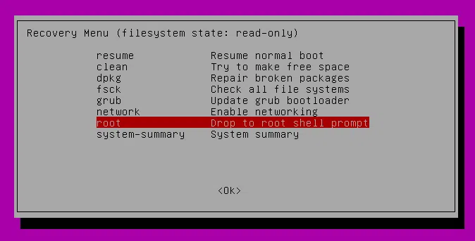 Ubuntu drop to root shell prompt