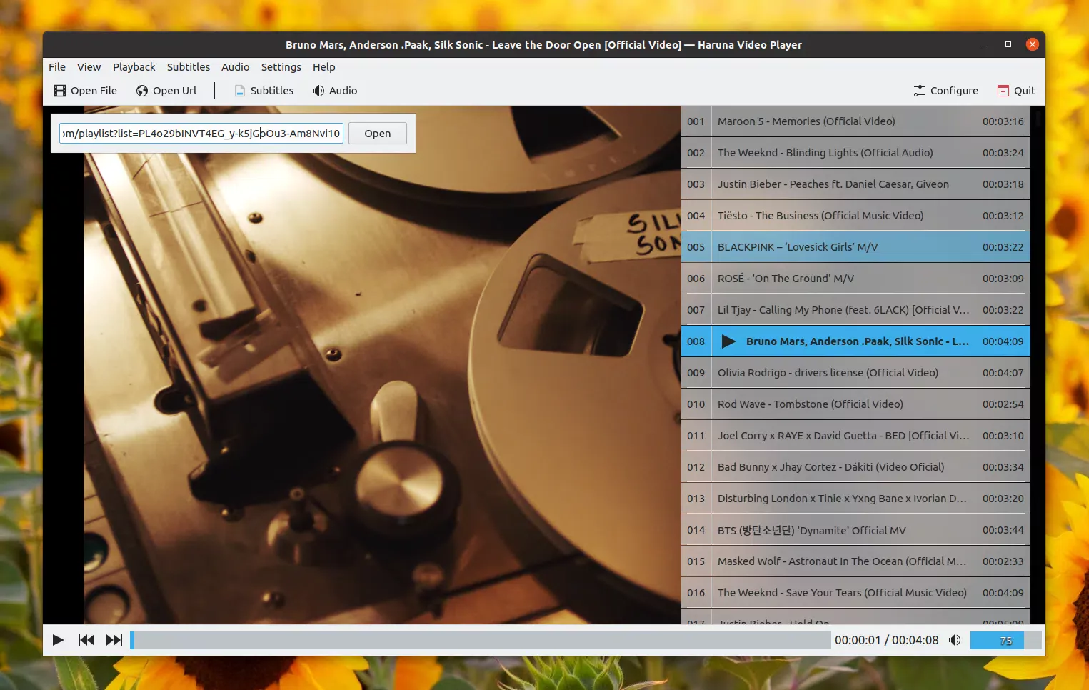 Haruna Video Player Playlist de YouTube