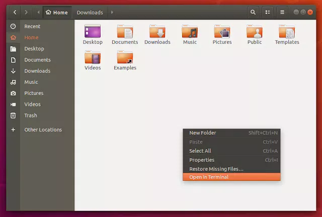 Tela mostrando o Nautilus no Ubuntu 18.04